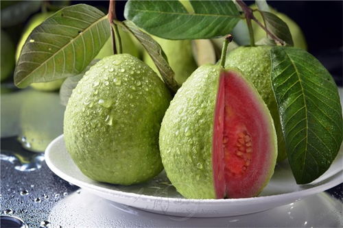 福建芭樂粉源頭直供 真如果食品工業(yè)的新鮮水果精粹
